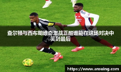 伟德bv国际体育